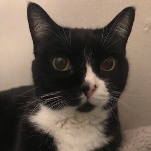 Meet your Posher, Kailie